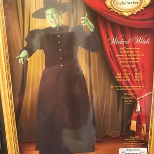 In Character Theatrical Wicked Witch Costume 3X